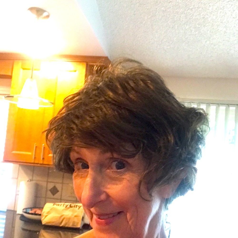 Paula Young Womens Dark Brown Wig
